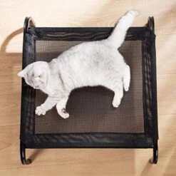 Yliping Cat Dog Ice Pad Summer Cat Litter Mat Water Bed Dog Mat Cooling Summer Waterproof (Size : A(S)) -Pet Products Shop 51JxznaokeL. AC