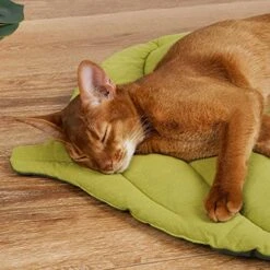 Leaf Shape Cat Mat Sleeping Soft Dog Cat Bed Mat Autumn And Winter Bite Resistant Pet Cage Mat Cats Kennel Pad -Pet Products Shop 51K18vbTloL