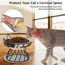 Dorakitten 2Pcs Elevated Cat Bowls With Non-Slip Mat, Protects Cat’s Spine, Anti-Vomiting Raised Cat Food Plates With Cute Cat Ear Stand, Shallow & Wide Ceramic Cat Dishes To Prevent Whisker Fatigue -Pet Products Shop 51K5a6OQg5L
