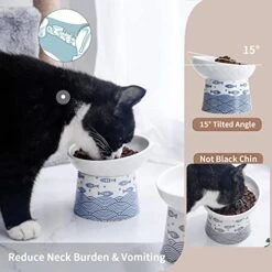 Tilted Ceramic Raised Cat Bowls, 8 OZ Elevated Slanted Food And Water Bowls, 5 Inch Wide Porcelain Pet Feeder Dish For Cats, Kittens And Puppies, Stress Free, Protect Pet's Spine, Set Of 2(Blue&Black) -Pet Products Shop 51LAMt8AWaL