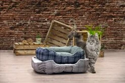 Karlie K Bed Cat Miro Beige/Light Grey 55 X 50 X 20 Cm 200 G -Pet Products Shop 51LOFNWaxgL