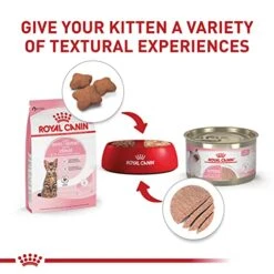 Royal Canin Feline Health Nutrition Kitten Spayed/Neutered Dry Cat Food, 2.5 Lb Bag -Pet Products Shop 51LeXL3SKBL