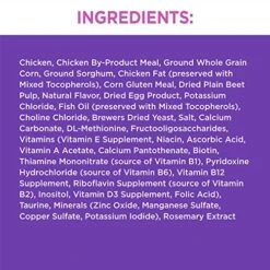 IAMS PROACTIVE HEALTH Healthy Kitten Dry Cat Food With Chicken, 7 Lb. Bag -Pet Products Shop 51LgGH3OQ3L