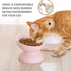 Raised Cat Food Bowls Ceramic - Tilted Elevated Cat Bowls Anti Vomiting - 4.9 In Small Cat Bowl For Dry Wet Food - Stress Free Shallow Cat Feeding Bowls For Whisker Fatigue - Dishwasher Safe - 4oz 13 Raised Cat Food Bowls Ceramic - Tilted Elevated Cat Bowls Anti Vomiting - 4.9 In Small Cat Bowl For Dry Wet Food - Stress Free Shallow Cat Feeding Bowls For Whisker Fatigue - Dishwasher Safe - 4oz -Pet Products Shop 51LoZU0pNKL