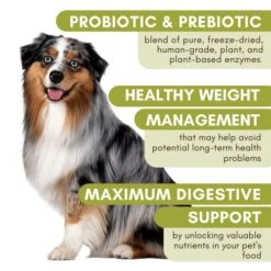 Wholistic Pet Organics: Dog Probiotics And Digestive Enzymes Powder Dog Prebiotic And Probiotic Supplement Prevents Upset Stomach Gut Health Probiotics For Dogs And Puppies Stool Ease For Dogs -Pet Products Shop 51MF0pE1bxL