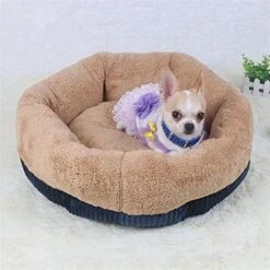 SENERY Winter Warm Beds For Small Dogs Deep Dish Dirt-Resist Waterproof Pet House Soft Comfort Puppy Cat Nest -Pet Products Shop 51MPcGnguEL. AC