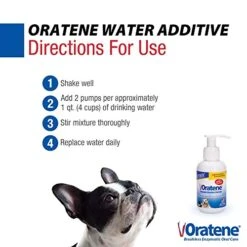 Pet King Brands Zymox Oratene Enzymatic Brushless Oral Care Water Additive, 4oz -Pet Products Shop 51NbmSbNghL