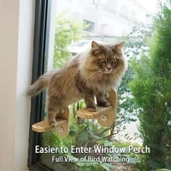 PETKARAY Cat Window Shelf, Original Cat Window Perch Hammock, Durable Cat Seat For Window Sill, Sturdy Indoor Window Stairs For Large Cats -Pet Products Shop 51OLJ2wwKPL