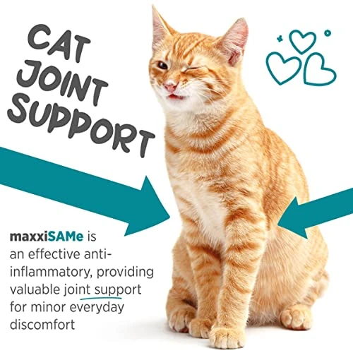 Maxxipaws MaxxiSAMe Advanced SAM-e Liver And Cognitive Supplement For Cats Given With Food, Powder 3.2 Oz 3 Maxxipaws MaxxiSAMe Advanced SAM-e Liver And Cognitive Supplement For Cats Given With Food, Powder 3.2 Oz - Image 2