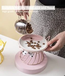 Raised Pet Food And Water Bowl, Cat And Small Dog Bowl, Tilted Ceramic Cat Water Bowl No Spill,15oz, Dishwasher Safe -Pet Products Shop 51OlIYASKpL