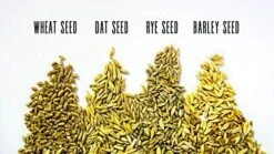 Thunder Acres Cat Grass Blend, Wheat, Barley, Oats, And Rye Mix, Non-GMO, Certified Organic, Bonus CAT Toy (5 LB) -Pet Products Shop 51OoHgzQKpL. AC 1