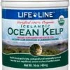 Life Line Pet Nutrition Organic Ocean Kelp Supplement For Skin & Coat, Digestion In Dogs & Cats,16oz, 20101 1 Life Line Pet Nutrition Organic Ocean Kelp Supplement For Skin & Coat, Digestion In Dogs & Cats,16oz, 20101 -Pet Products Shop 51Oyn8V6SZL