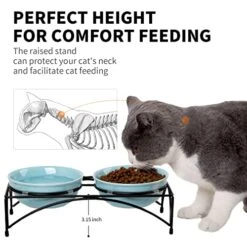FOREYY Elevated Cat Bowls With 2 Ceramic Bowls And 2 Stainless Steel Bowls,Raised Cat Food Water Bowl With Iron Stand,Porcelain Pet Dishes For Cats And Small Dogs,16 Ounces,Dishwasher Safe(Blue) 12 FOREYY Elevated Cat Bowls With 2 Ceramic Bowls And 2 Stainless Steel Bowls,Raised Cat Food Water Bowl With Iron Stand,Porcelain Pet Dishes For Cats And Small Dogs,16 Ounces,Dishwasher Safe(Blue) -Pet Products Shop 51P6AgEB7BL