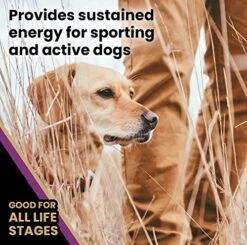 Victor Super Premium Dog Food – Professional Dry Dog Food – Super Premium Dog Food With 26% Protein, Gluten Free - For High Energy And Active Dogs & Puppies, 40lbs -Pet Products Shop 51QKid6H5xL