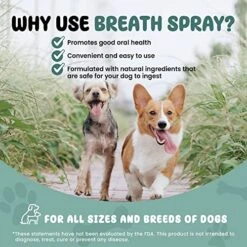 SCD Probiotics Breath Spray For Dogs – Freshens Breath Naturally With Probiotics And Supports Long-Term Dental Health, Dog Breath Freshener, Pet Dental Spray And Water Additive – 4.4 Fl.oz -Pet Products Shop 51QPXwwwUwL