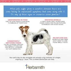 Herbsmith GastroCare - For Cats & Dogs With Sensitive Stomachs - Cat And Dog Digestive Support - Ease Canine And Feline Sensitive Stomach - 75g -Pet Products Shop 51QVfPgTNDL