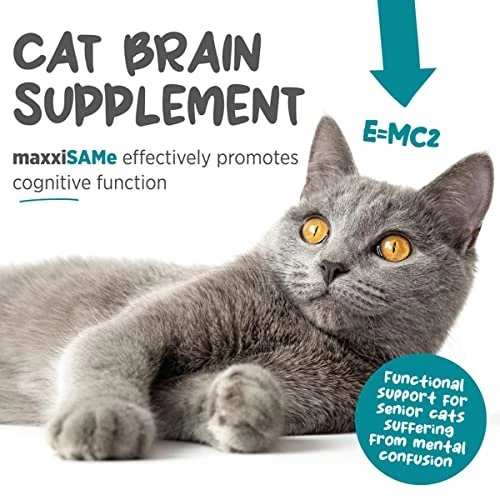Maxxipaws MaxxiSAMe Advanced SAM-e Liver And Cognitive Supplement For Cats Given With Food, Powder 3.2 Oz 2 Maxxipaws MaxxiSAMe Advanced SAM-e Liver And Cognitive Supplement For Cats Given With Food, Powder 3.2 Oz