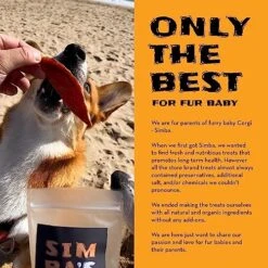 SIMBA'S WAY - Salmon Skin Bites Dog And Cat Treats, Organic Human Grade, Single Ingredient, All Natural, Grain-Free, No Preservatives, Made In The USA. [ 3 .oz ] [ 2 Pack ] -Pet Products Shop 51Qx3wVPkvL