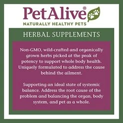 PetAlive Pancreas Booster - All Natural Herbal Supplement For Pancreatic Health And Digestive Functioning In Cats And Dogs - Supports Healthy Insulin Production - 60 Veggie Caps -Pet Products Shop 51R5yMeZUfS