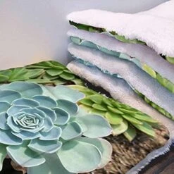 GENERIC Yellow Ultra Soft Thick Flannel Dog Cat Bed Mats Breakfast Food Cartoon Like Image Soft Warm Puppy Blanket Cover Dog Cat Fluffy Fur Blanket Sleep Fast Food Dessert 22" X 28" -Pet Products Shop 51RXvw7QWpL. AC