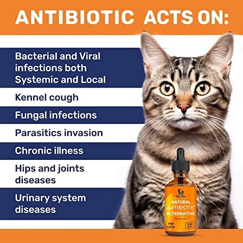 Natural Antibiotics For Cats | Cat Antіbіotісs | Supports Cat Allergy Relief | Cat Itch Relief | Cat Allergy Support | Cat Multivitamin | Pet Antіbіotісs | Cat Antіbіotіс | 2 Oz (1 Bottle) 4 Natural Antibiotics For Cats | Cat Antіbіotісs | Supports Cat Allergy Relief | Cat Itch Relief | Cat Allergy Support | Cat Multivitamin | Pet Antіbіotісs | Cat Antіbіotіс | 2 Oz (1 Bottle) - Image 2