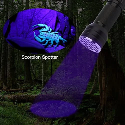 GRABOTE UV Flashlight 395nm LED Blacklight, 1 Switch Mode Lighting Effect Design Flashlights, 2 Pack Mini Flashlights Show Pets Urine Strains, Food Stains On Carpet Furniture Floor 8 GRABOTE UV Flashlight 395nm LED Blacklight, 1 Switch Mode Lighting Effect Design Flashlights, 2 Pack Mini Flashlights Show Pets Urine Strains, Food Stains On Carpet Furniture Floor - Image 6