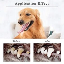 Bioline Dog Tooth Brushing Kit Teeth Cleaning Kit Tartar Control Toothpaste With 4 Toothbrush For Dogs Eliminates Bad Breath Orange Flavor -Pet Products Shop 51SlfnaoV2L