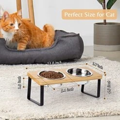 Elevated Cat Bowls For Food And Water - Loplurea 15° Tilted Raised Stainless Steel Cat Food Bowl With Bamboo Stand And Anti Vomit Feeding Station For Indoor Cats And Pet -Pet Products Shop 51U6u209v1L