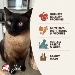 Fromm Four-Star Nutritionals Surf & Turf Cat Food - Premium Dry Cat Food - Salmon Recipe - 4 Lb -Pet Products Shop 51U9FZJx1cL