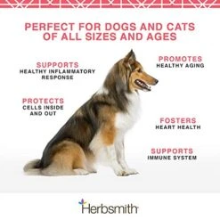 Herbsmith Pure Krill - Wild-Caught Antarctic Krill - Just 1 Ingredient - Astaxanthin For Dogs - Ready-to-Use Omega 3s – Alternative To Krill Oil For Dogs - 150g -Pet Products Shop 51UeJQv6X7L