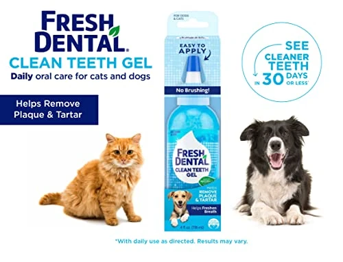 Naturel Promise Fresh Dental Clean Teeth Gel, 4 Fl Oz - Easy To Use Pet Dental Gel That Helps Remove Plaque, Tartar, And Freshen Breath-No Brushing Pet Oral Care For Dog Dental Care, Cat Dental Care 4 Naturel Promise Fresh Dental Clean Teeth Gel, 4 Fl Oz - Easy To Use Pet Dental Gel That Helps Remove Plaque, Tartar, And Freshen Breath-No Brushing Pet Oral Care For Dog Dental Care, Cat Dental Care - Image 2
