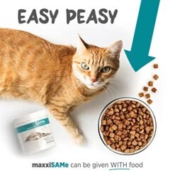 Maxxipaws MaxxiSAMe Advanced SAM-e Liver And Cognitive Supplement For Cats Given With Food, Powder 3.2 Oz 7 Maxxipaws MaxxiSAMe Advanced SAM-e Liver And Cognitive Supplement For Cats Given With Food, Powder 3.2 Oz -Pet Products Shop 51XANQ0qWAL