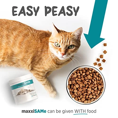 Maxxipaws MaxxiSAMe Advanced SAM-e Liver And Cognitive Supplement For Cats Given With Food, Powder 3.2 Oz 4 Maxxipaws MaxxiSAMe Advanced SAM-e Liver And Cognitive Supplement For Cats Given With Food, Powder 3.2 Oz - Image 3