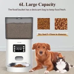 JFISHION Automatic Cat Feeders,6L Automatic Cat Food Dispenser,Timed Cat Feeders For Dry Food Automatic Dog Feeder With Timer,Automatic Pet Feeders For Cats Dogs 6 Meals Per Day Dual Power SupplyWhite 6 JFISHION Automatic Cat Feeders,6L Automatic Cat Food Dispenser,Timed Cat Feeders For Dry Food Automatic Dog Feeder With Timer,Automatic Pet Feeders For Cats Dogs 6 Meals Per Day Dual Power SupplyWhite -Pet Products Shop 51XRmTRP2sL