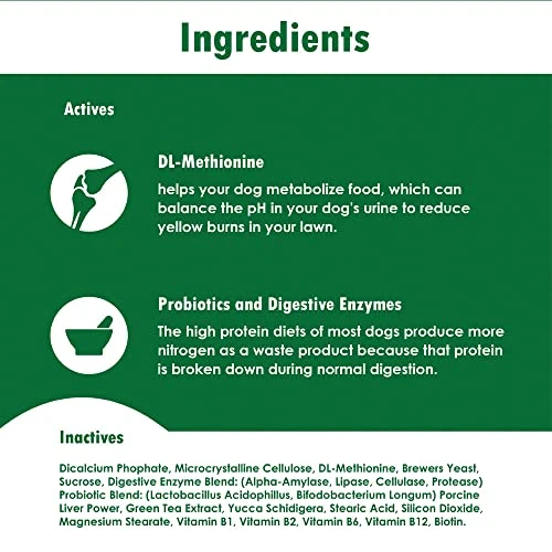 Urigreen Extra Strength Anti-Lawn Burn - DL-Methionine, Vitamins, Biotin, Yucca, And Probiotics - Metabolism Supplement For Dogs - 250 Tablets 6 Urigreen Extra Strength Anti-Lawn Burn - DL-Methionine, Vitamins, Biotin, Yucca, And Probiotics - Metabolism Supplement For Dogs - 250 Tablets - Image 4