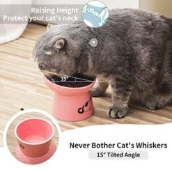 Tilted Ceramic Raised Cat Bowls, 8 OZ Food And Water Bowls Set For Kitty, 5 In Porcelain Elevated Stress Free Feeding Pet Dish, Dishwasher And Microwave Safe (White & Pink) -Pet Products Shop 51Y2t2yj6uL