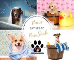 PawSoak Bath Salts For Pets -Pet Products Shop 51YnygGivIL
