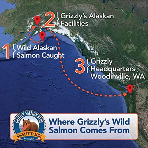 Grizzly Wild Alaskan Salmon Oil Dog Food Supplement Omega 3 Fatty Acids, 16 Oz 5 Grizzly Wild Alaskan Salmon Oil Dog Food Supplement Omega 3 Fatty Acids, 16 Oz - Image 3