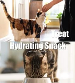 Whole Life Pet Just One Salmon Dog And Cat Value Packs - Human Grade, Freeze Dried, One Ingredient - Protein Rich, Grain Free, Made In The USA -Pet Products Shop 51ZG1Eqdg8L