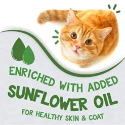 Earthborn Holistic Chicken Catcciatori Grain-Free Moist Cat Food 3 Ounce (Pack Of 24) -Pet Products Shop 51ZYqAWr00L