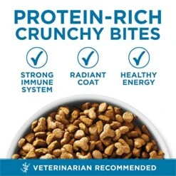 Purina ONE High Protein, Natural Senior Dry Cat Food, Indoor Advantage Senior+ - 16 Lb. Bag
