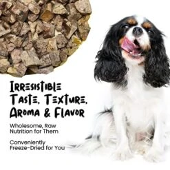 SPRANKLES Freeze Dried Chicken Liver Treats For Cats & Dogs - Single Ingredient All Natural Grain-Free, High Protein, Made In USA - Perfect For Training, Topper Or Snack (Chicken Liver, 6 Ounce) 19 SPRANKLES Freeze Dried Chicken Liver Treats For Cats & Dogs - Single Ingredient All Natural Grain-Free, High Protein, Made In USA - Perfect For Training, Topper Or Snack (Chicken Liver, 6 Ounce) -Pet Products Shop 51ZonMA0PeL