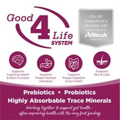 NutriSource Cat & Kitten Food, Made With Chicken And Rice, With Wholesome Grains, 6.6LB, Dry Cat Food -Pet Products Shop 51Zx8Om5wvL