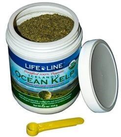 Life Line Pet Nutrition Organic Ocean Kelp Supplement For Skin & Coat, Digestion In Dogs & Cats,16oz, 20101 -Pet Products Shop 51a1xeFtu2L