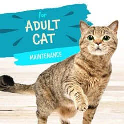 Earthborn Holistic Riptide Zing With Tuna & Gravy Grain-Free Wet Cat Food Pouches, Case Of 24 -Pet Products Shop 51a2jlOkhnL