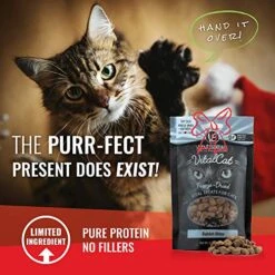 Vital Cat Vital Essentials Minnows Freeze-Dried Cat Treats - All Natural Raw Treat - Made & Sourced In USA - Grain Free - 0.5 Oz Resealable Pouch - 3 Pack -Pet Products Shop 51cJnouepyL