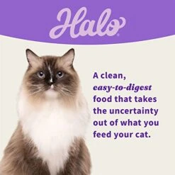 Halo® Cat Seafood Pate Variety Pack: Grain Free Whitefish Pate, Salmon Pate, Seafood Medley Pate 5.5 Oz Can (Pack Of 12) -Pet Products Shop 51cU2slJM8L