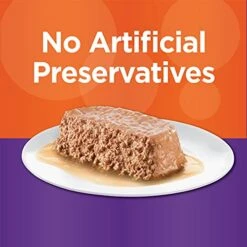 IAMS PERFECT PORTIONS Healthy Kitten Grain Free* Wet Cat Food Paté, Chicken Recipe,2.6 Oz (Pack Of 24). Easy Peel Twin-Pack Trays -Pet Products Shop 51dK64TGrZS