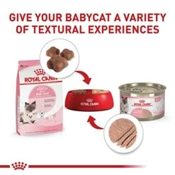 Royal Canin Feline Health Nutrition Mother & Babycat Dry Cat Food For Newborn Kittens And Pregnant Or Nursing Cats, 6 Lb Bag 10 Royal Canin Feline Health Nutrition Mother & Babycat Dry Cat Food For Newborn Kittens And Pregnant Or Nursing Cats, 6 Lb Bag -Pet Products Shop 51e2pQVsTzL
