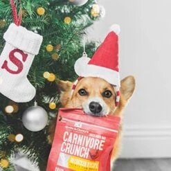 Stella & Chewy's Mixed Protein Treats, 3 Item Bundle -Pet Products Shop 51eLZj0sXxL